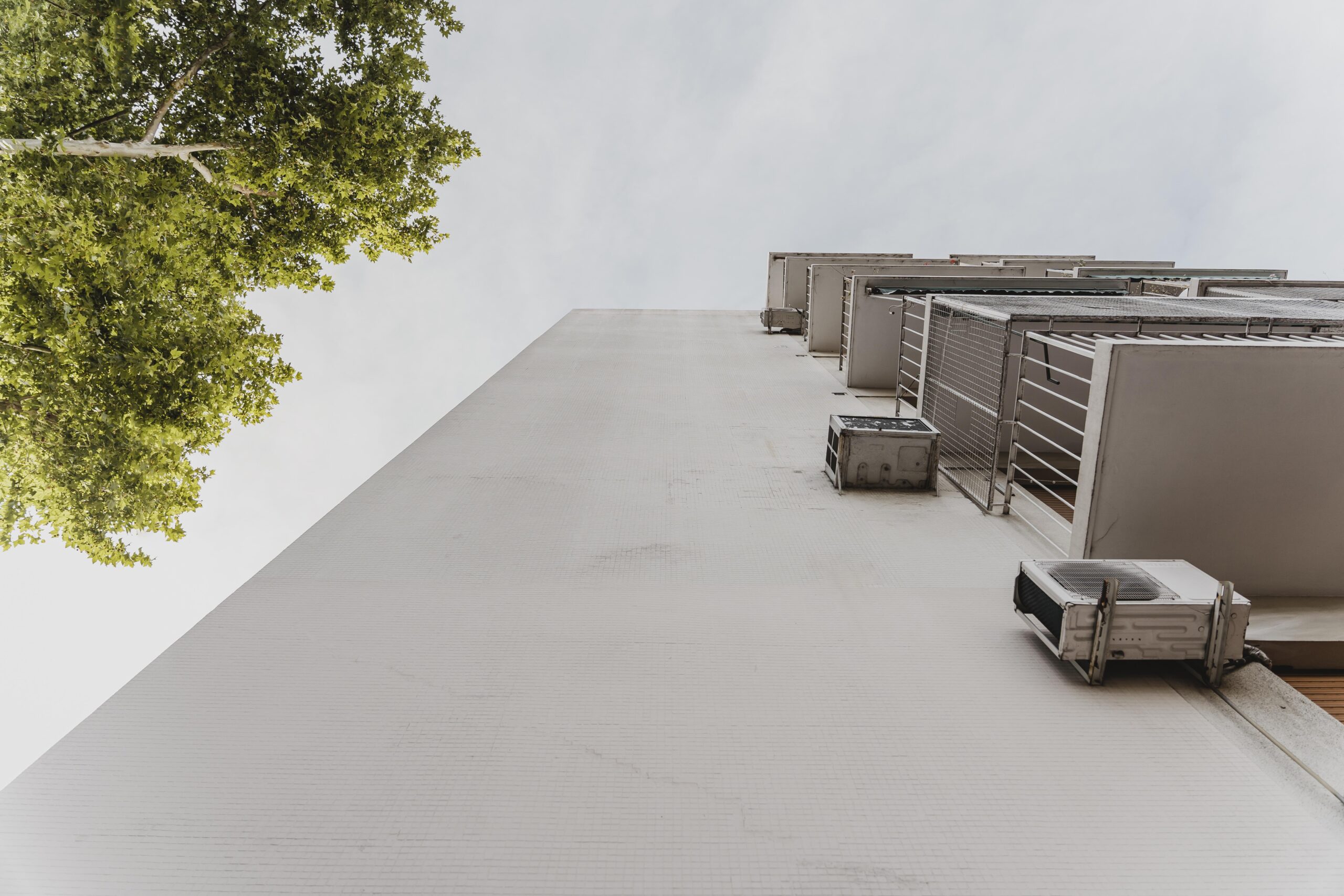 low-angle-building-with-tree-city